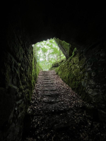 Fougères - Les Pierres des Druides