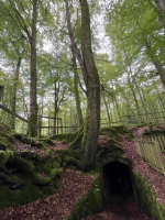 Fougères - Les Pierres des Druides