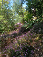 La Motte de Bâron, une seigneurie banale