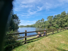 La Motte de Bâron, une seigneurie banale