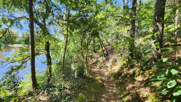 La Motte de Bâron, une seigneurie banale