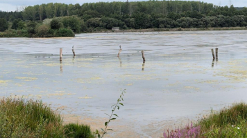 Leçon de choses au domaine de Careil