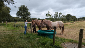 Leçon de choses au domaine de Careil