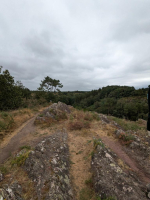 Dans les landes de la chambre au loup