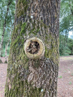 Epidanl'bec à l'Etang de Boulet