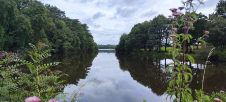 Brocéliande autrement