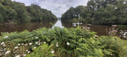 Brocéliande autrement