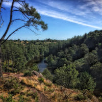 Dans les landes de la chambre au loup