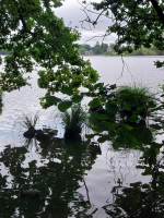 Les Mystères du lac tranquille