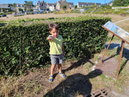 Pierre en bord de mer