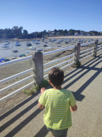 Pierre en bord de mer