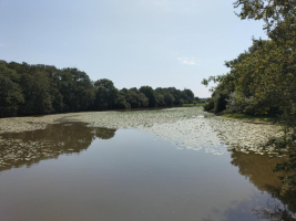 le dragon de l'Etang de La Forge