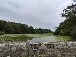 le dragon de l'Etang de La Forge