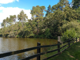 La Motte de Bâron, une seigneurie banale