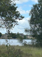 Les berges de l'étang de Paimpont