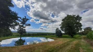 Brocéliande autrement