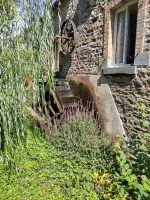 La Motte de Bâron, une seigneurie banale