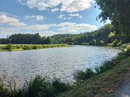 Escale à la Mare aux Mortiers