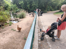 Voyage autour du monde à Rennes