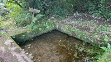 Brocéliande autrement