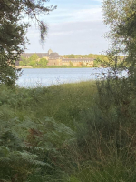 Les berges de l'étang de Paimpont