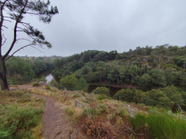 Dans les landes de la chambre au loup