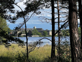 Les berges de l'étang de Paimpont