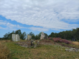 Mégalithes et Landes