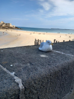 Saint Malo Gourmand