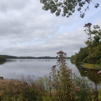 Epidanl'bec à l'Etang de Boulet