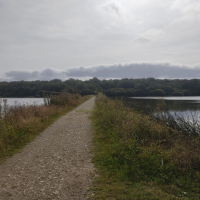 Epidanl'bec à l'Etang de Boulet