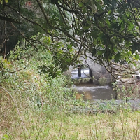 Epidanl'bec à l'Etang de Boulet