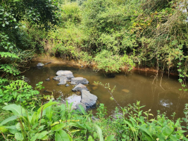 Au Pays de La Flume