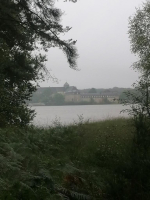 Les berges de l'étang de Paimpont