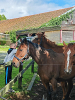 Saint-Brice, entre bocage et histoire