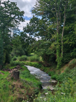 Saint-Brice, entre bocage et histoire