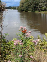 Brocéliande autrement