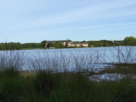 Les berges de l'étang de Paimpont