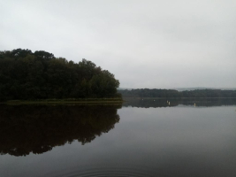 Les berges de l'étang de Paimpont