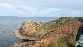 Le trésor des Douaniers