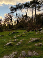 Trémelin en Brocéliande