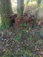 Leçon de choses au domaine de Careil