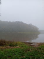 Brocéliande autrement