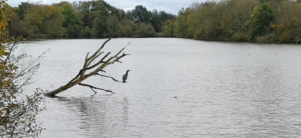 La Plousière c'est rigol'eau !