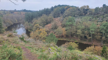 Dans les landes de la chambre au loup