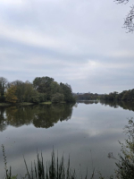 le dragon de l'Etang de La Forge