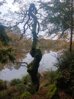 La Motte de Bâron, une seigneurie banale