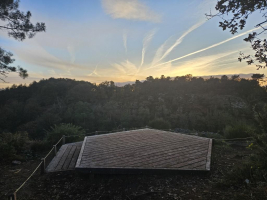 Dans les landes de la chambre au loup