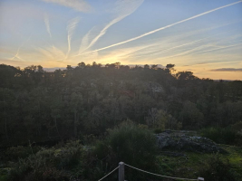 Dans les landes de la chambre au loup