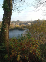 Le Fabuleux trésor de Fougères